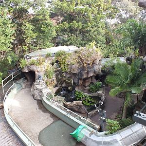 View of 'Blinky Bill's Home Tree'