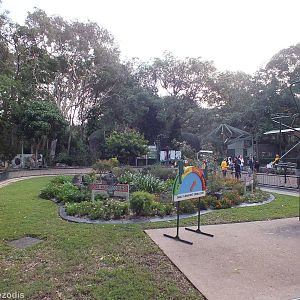 Wild Lorikeet Feeding Area