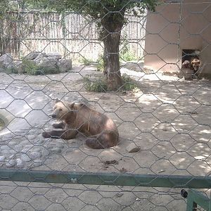 Skopje zoo walk June 29th, 2016, on a hot and humid day