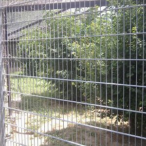 Skopje zoo walk June 29th, 2016, on a hot and humid day