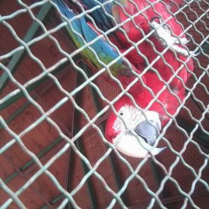 Skopje zoo walk June 29th, 2016, on a hot and humid day