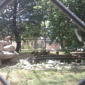 Skopje zoo walk June 29th, 2016, on a hot and humid day