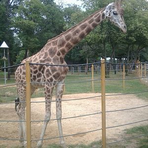 Skopje zoo walk June 29th, 2016, on a hot and humid day
