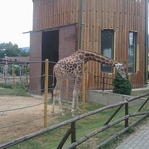 Skopje zoo walk June 29th, 2016, on a hot and humid day