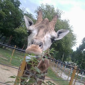 Skopje zoo walk June 29th, 2016, on a hot and humid day
