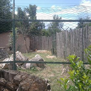 Skopje zoo walk June 29th, 2016, on a hot and humid day