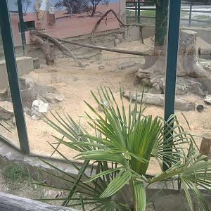 Skopje zoo walk June 29th, 2016, on a hot and humid day