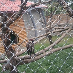 Skopje zoo walk June 29th, 2016, on a hot and humid day