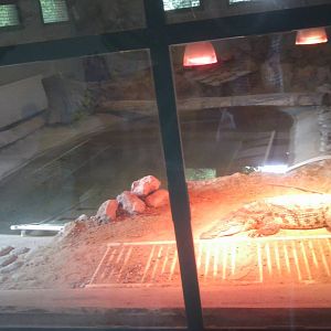 Skopje zoo walk June 29th, 2016, on a hot and humid day