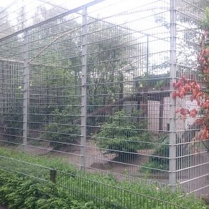 Sri Lanka leopard enclosure