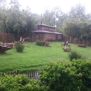 Maguari - Muntjac and Screamer enclosure