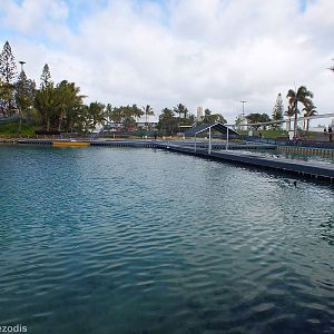 Dolphin Nursery Pools