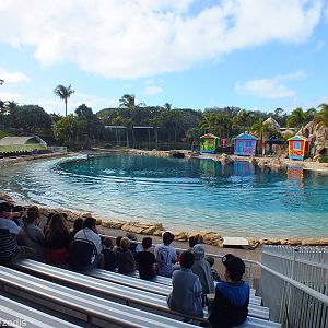 Dolphin Show Area