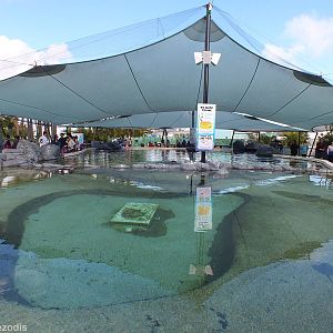 Stingray Enclosure