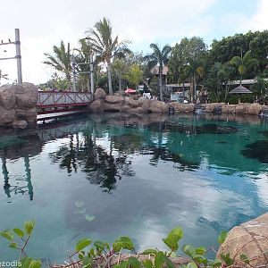 View of Shark Bay from Above