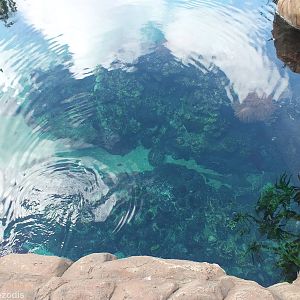 View of Shark Bay from Above