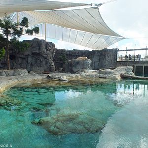Polar Bear Enclosure