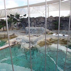 Polar Bear Enclosure