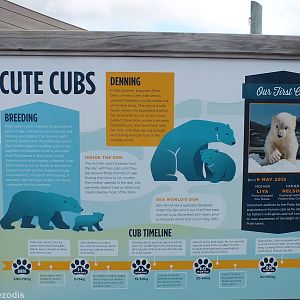 Polar Bear Cub Sign
