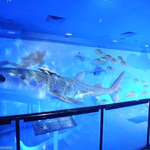 Part of Creatures of the Deep Display