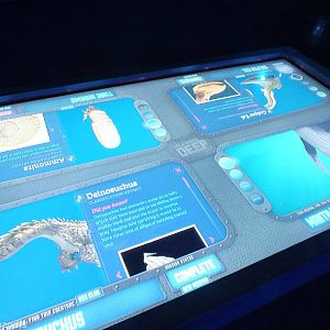Part of Creatures of the Deep Display