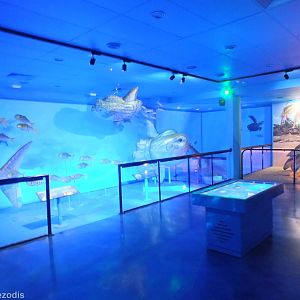 Part of Creatures of the Deep Display