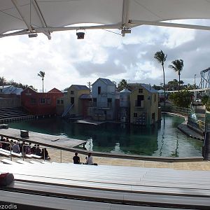 Sealion Show Area