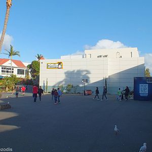 Penguin Encounter Building