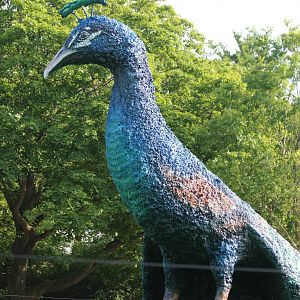 Peacock statue replacing Stingray Bay
