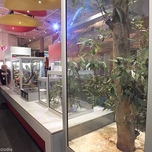 Live Animal Enclosures - Queensland Museum
