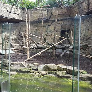 mandril enclosure