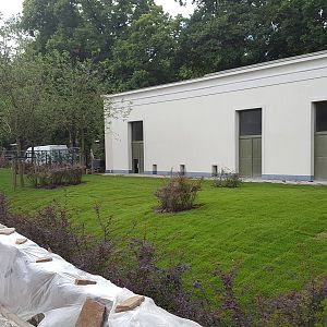 new okapi and duiker enclosure ( under construction)