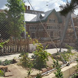 new savanna enclosure (bird house)