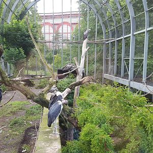 top view of vulture/crane avaria