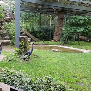 ground view crane/vulture avaria