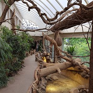 walk through enclosure in the reptile house