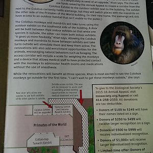 Primate Exhibit Renovations