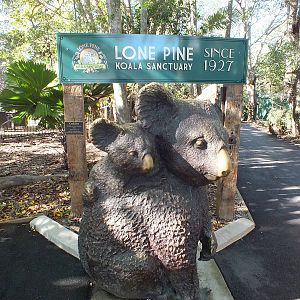 Koala Model at Entrance