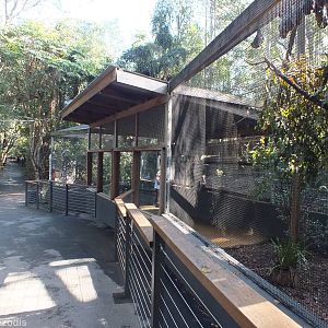 Flying Fox Enclosure