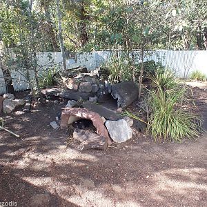 Part of Tasmanian Devil Enclosure