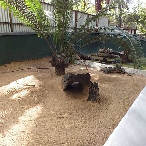 Enclosure Signed for Mary River Turtles but Holding Something Else