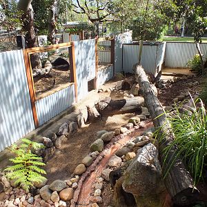 Part of Tasmanian Devil Enclosure