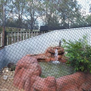 Merten's Water Monitor Enclosure