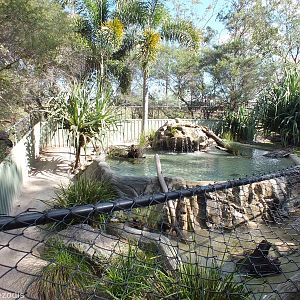 Freshwater Crocodile and Mary River Turtle Enclosure