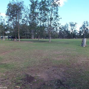 One of Two Walkthrough Kangaroo Enclosures