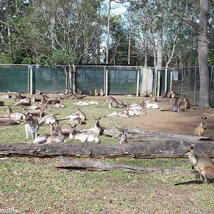 Part of Kangaroo Rest Area