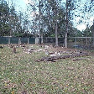 Part of Kangaroo Rest Area