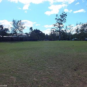 One of Two Walkthrough Kangaroo Enclosures