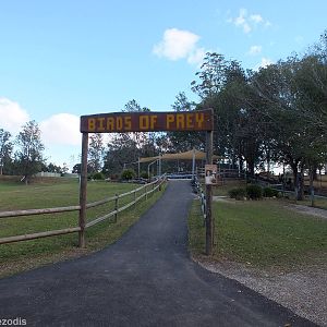 Bird of Prey Show Area in Walkthrough Kangaroo Enclosure