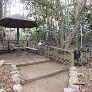 Southern Cassowary Enclosure